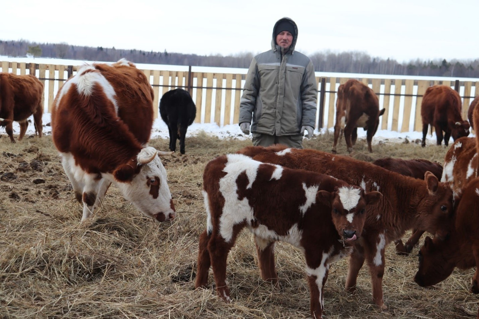 Тырышҡан юлын таба