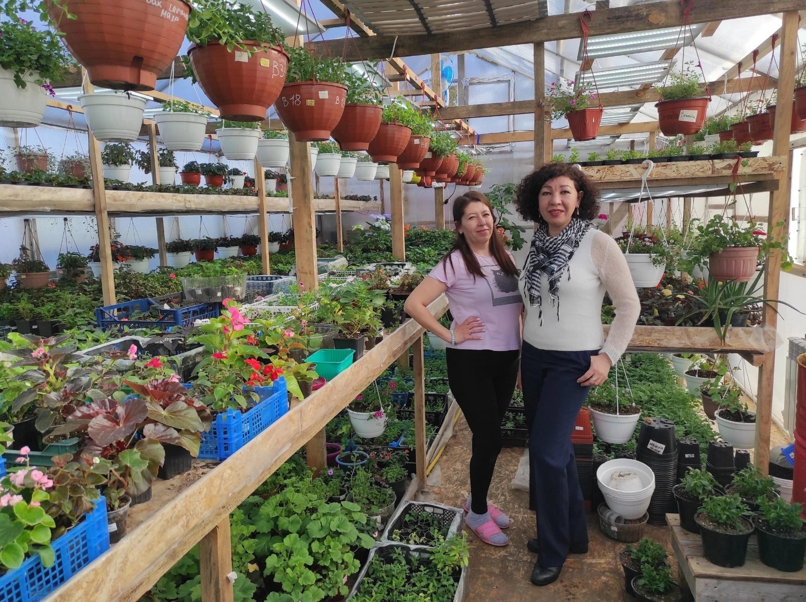 «Һөҙөмтәле һәм конкурентлы иҡтисад» милли проекты аша эшҡыуар теплица төҙөй